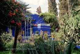 Image du Maroc Professionnelle de  Le Jardin Majorelle une pure merveille crée par le peintre français Jacques Majorelle, qui a eu le coup de foudre pour Marrakech. Yves Saint Laurent et Pierre Bergé font l’acquisition de ce havre de paix durant les années quatre-vingt où Yves Saint Laurent dessina plusieurs pièces. son voeux était de faire de ce parc une œuvre d’art vivante. On y découvre des plantes provenant des cinq continents, yuccas d’Océanie, lotus d’Asie, cactus d’Amérique, palmiers d’Afrique et cyprès d’Europe …, à Marrakech le Lundi 18 Août 1997. ((Photo / Abdeljalil Bounhar) 